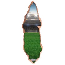 Vinilos para puertas campo de fútbol